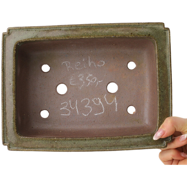 Maceta rectangular marrón para bonsái de Reiho - 250 x 187 x 85 mm