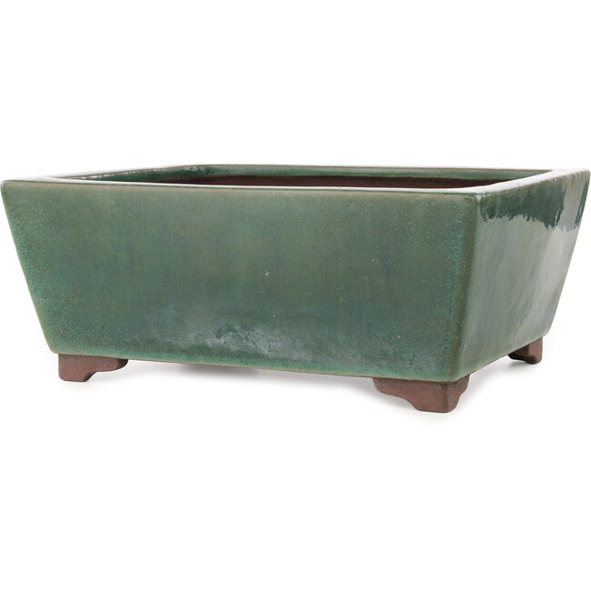 Maceta rectangular verde para bonsái de Yamaaki - 293 x 225 x 117 mm