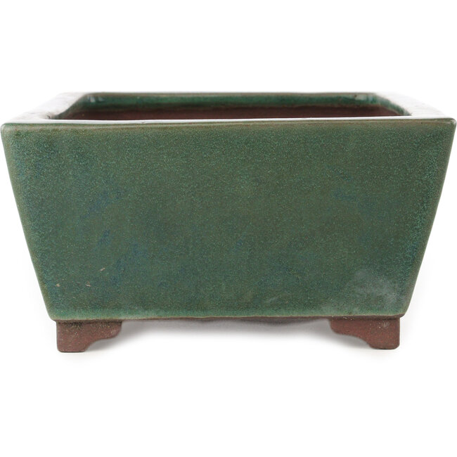 Maceta rectangular verde para bonsái de Yamaaki - 293 x 225 x 117 mm