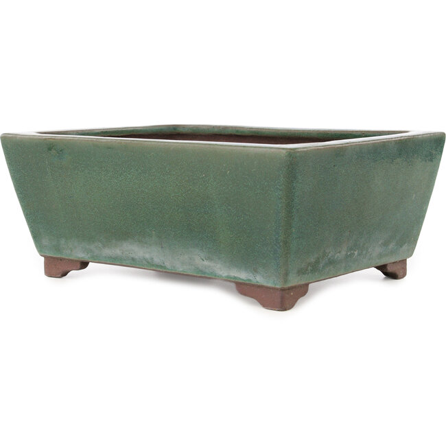 Maceta rectangular verde para bonsái de Yamaaki - 293 x 225 x 117 mm