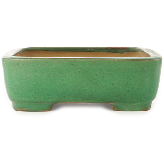 Vaso bonsai rettangolare verde di Yamafusa - 372 x 285 x 90 mm