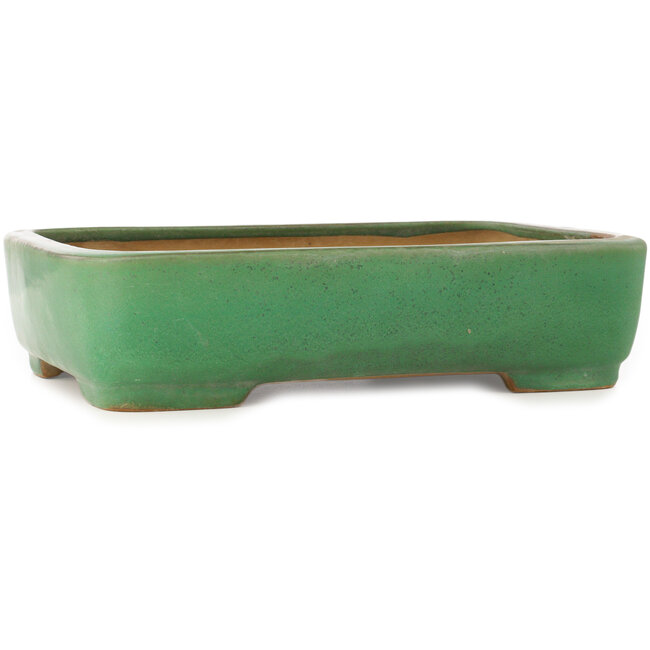 Maceta rectangular verde para bonsái de Yamafusa - 372 x 285 x 90 mm