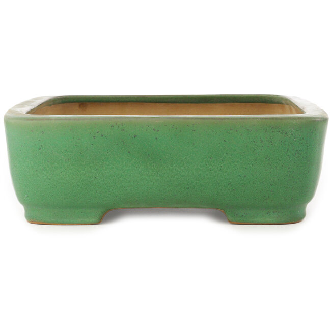 Rectangular green bonsai pot by Yamafusa - 372 x 285 x 90 mm