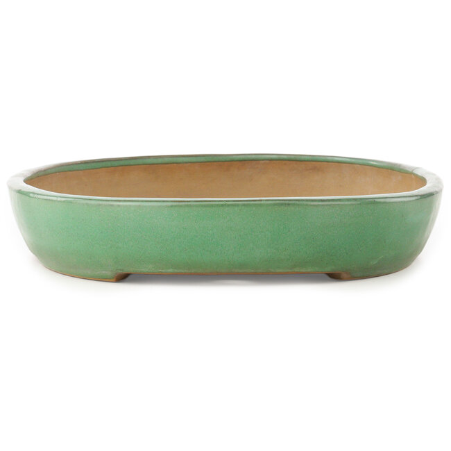 Maceta ovalada verde para bonsái de Yamafusa - 460 x 323 x 58 mm