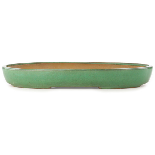 Oval green bonsai pot by Yamafusa - 460 x 323 x 58 mm
