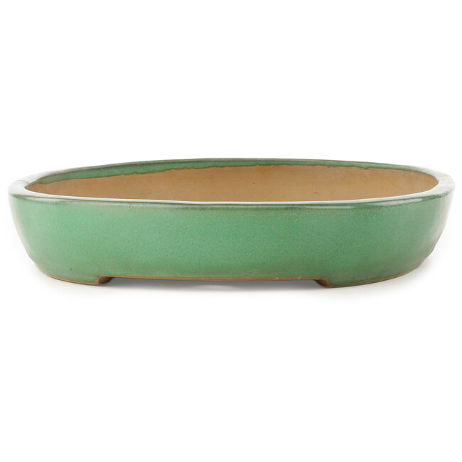 Pot à bonsaï ovale vert de Yamafusa - 460 x 323 x 58 mm