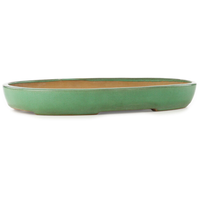 Vaso bonsai ovale verde di Yamafusa - 460 x 323 x 58 mm