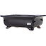 Rectangular dark blue bonsai pot by Reiho - 248 x 190 x 87 mm
