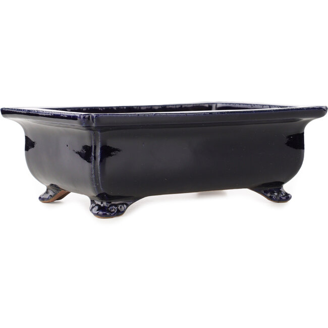 Rectangular dark blue bonsai pot by Reiho - 248 x 190 x 87 mm