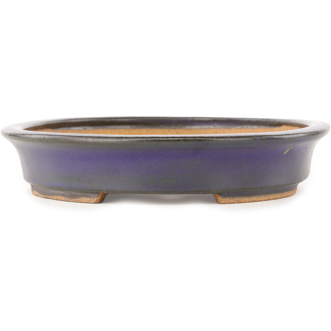 Vaso bonsai ovale viola di Hattori - 282 x 217 x 40 mm