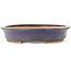 Ovale paarse bonsai pot van Hattori - 282 x 217 x 40 mm