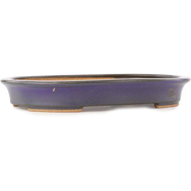 Pot à bonsaï ovale violet par Hattori - 282 x 217 x 40 mm