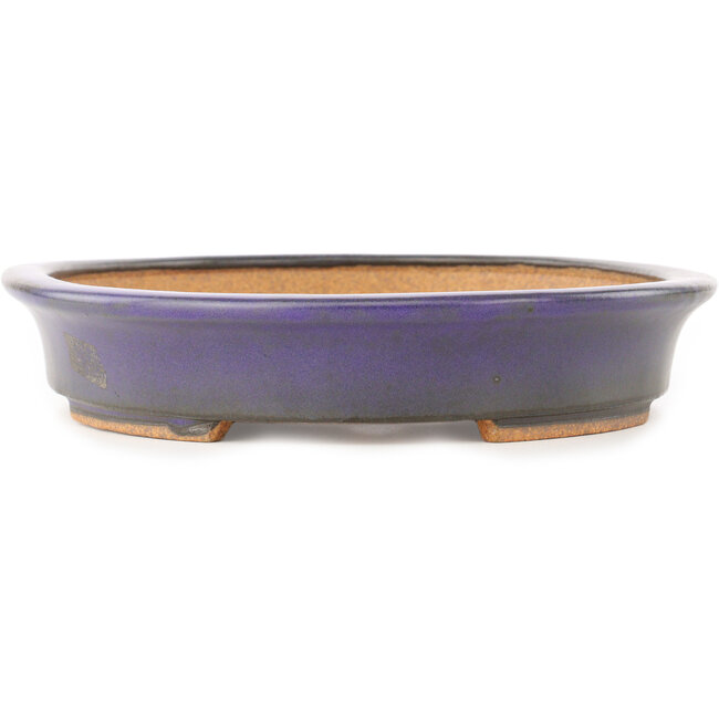 Maceta ovalada morada para bonsái de Hattori - 282 x 217 x 40 mm
