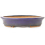 Ovale paarse bonsai pot van Hattori - 282 x 217 x 40 mm