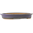 Ovale paarse bonsai pot van Hattori - 282 x 217 x 40 mm