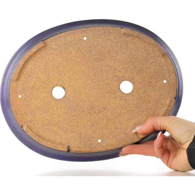 Pot à bonsaï ovale violet par Hattori - 282 x 217 x 40 mm