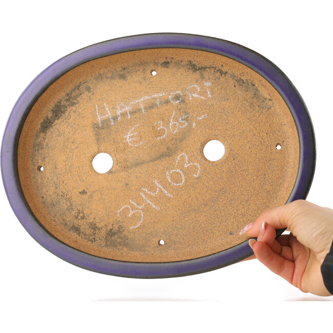 Oval purple bonsai pot by Hattori - 282 x 217 x 40 mm