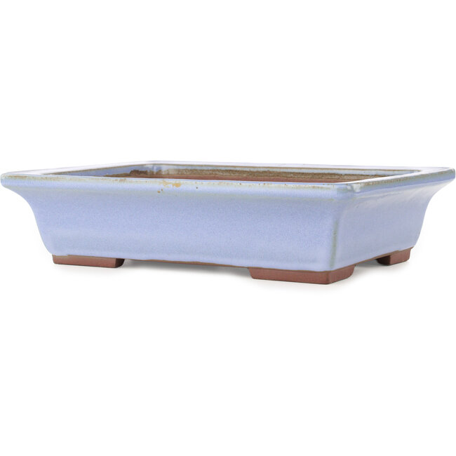 Maceta rectangular azul para bonsái de Yamaaki - 332 x 240 x 80 mm