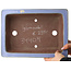 Pot à bonsaï rectangulaire bleu de Yamaaki - 332 x 240 x 80 mm