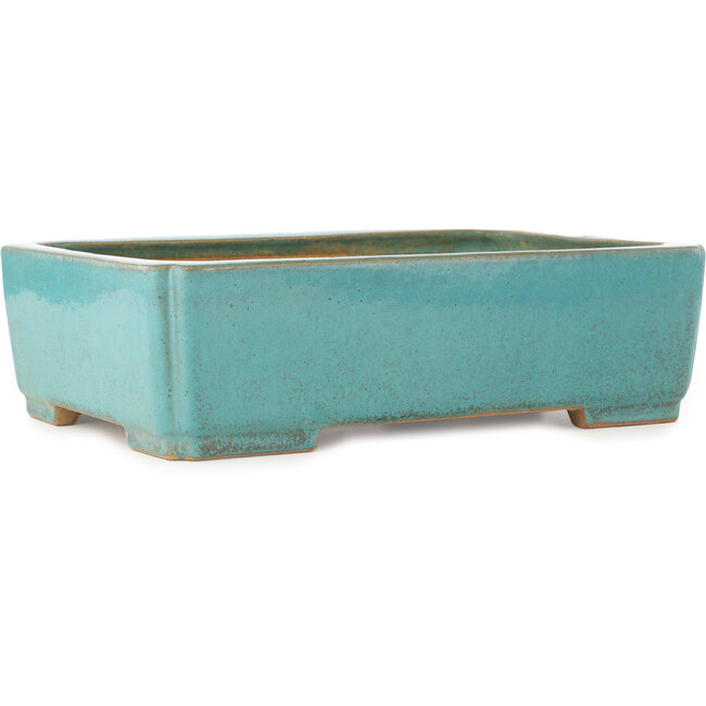 Pot à bonsaï rectangulaire turquoise de Reiho - 345 x 240 x 98 mm