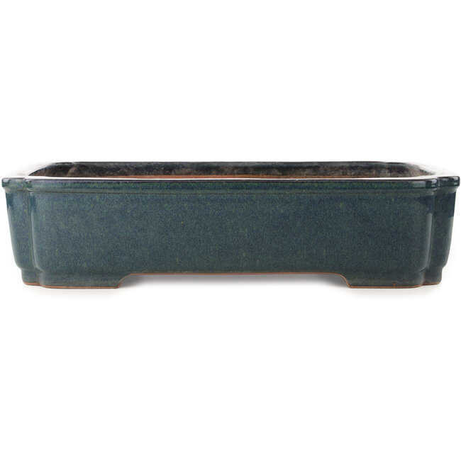 Maceta rectangular azul para bonsái de Reiho - 487 x 355 x 112 mm
