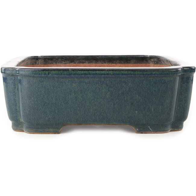 Pot à bonsaï rectangulaire bleu de Reiho - 487 x 355 x 112 mm