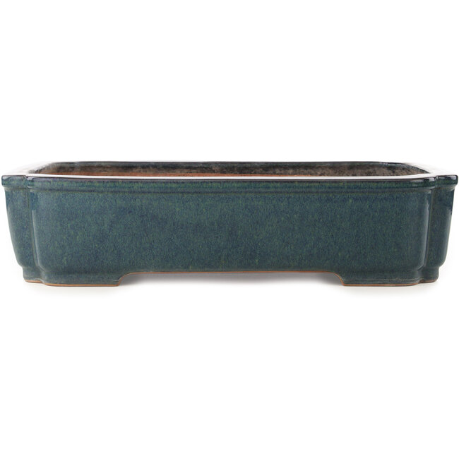 Maceta rectangular azul para bonsái de Reiho - 487 x 355 x 112 mm