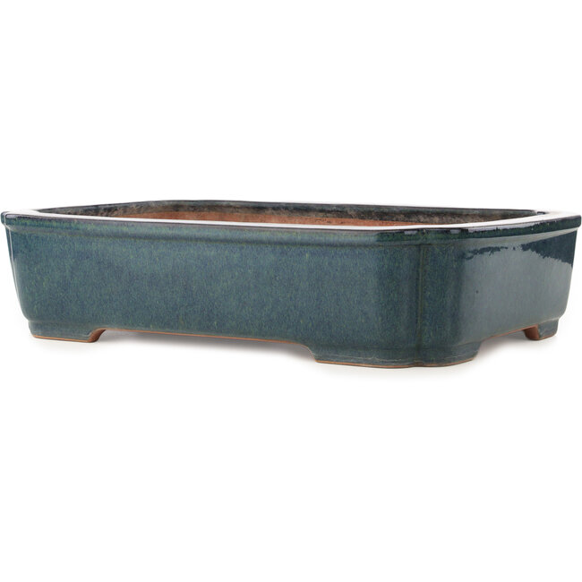 Rechthoekige blauwe bonsai pot van Reiho - 487 x 355 x 112 mm