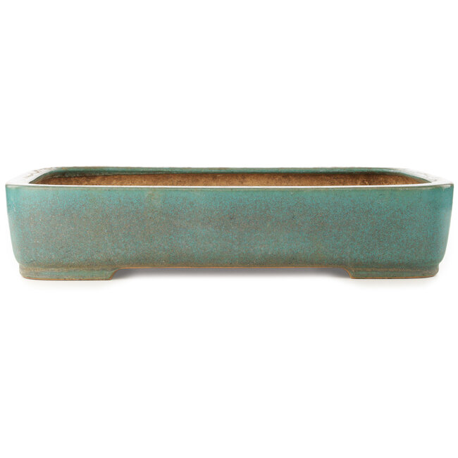 Maceta rectangular turquesa para bonsái de Reiho - 495 x 360 x 100 mm
