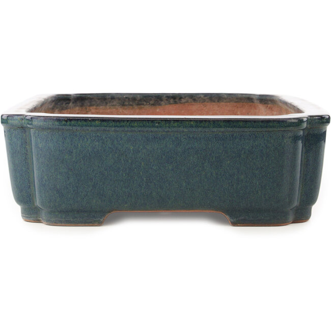Pot à bonsaï rectangulaire bleu de Reiho - 487 x 355 x 112 mm