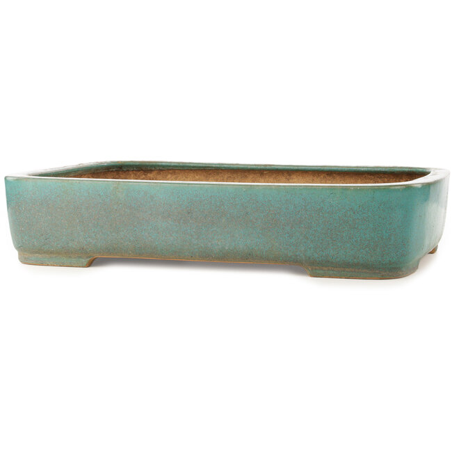 Rectangular turquoise bonsai pot by Reiho - 495 x 360 x 100 mm