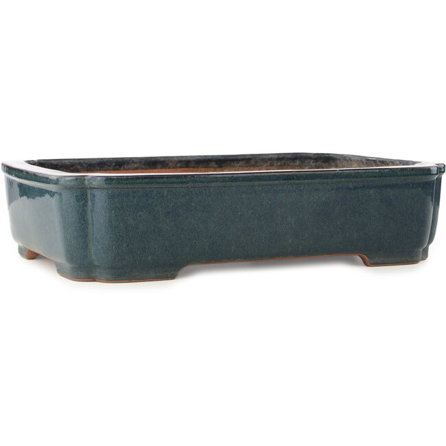 Rechthoekige blauwe bonsai pot van Reiho - 487 x 355 x 112 mm
