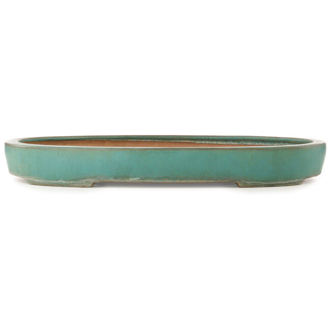Pot à bonsaï ovale turquoise de Reiho - 588 x 423 x 68 mm