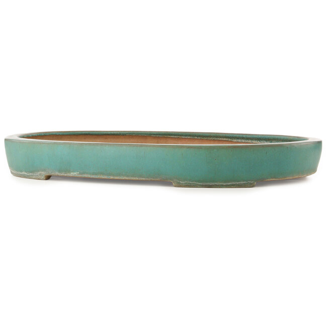 Pot à bonsaï ovale turquoise de Reiho - 588 x 423 x 68 mm