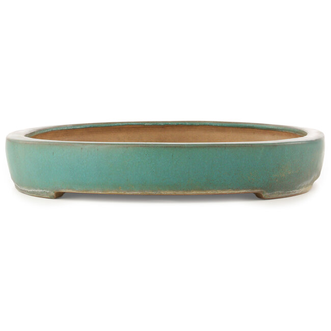 Ovale turquoise bonsai pot van Reiho - 588 x 423 x 68 mm