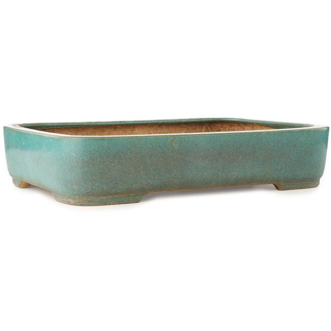 Rechthoekige turquoise bonsai pot van Reiho - 495 x 360 x 100 mm