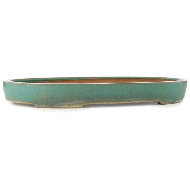Pot à bonsaï ovale turquoise de Reiho - 588 x 423 x 68 mm
