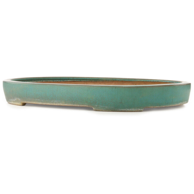 Ovale turquoise bonsai pot van Reiho - 588 x 423 x 68 mm