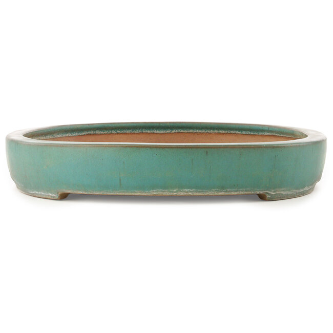 Pot à bonsaï ovale turquoise de Reiho - 588 x 423 x 68 mm