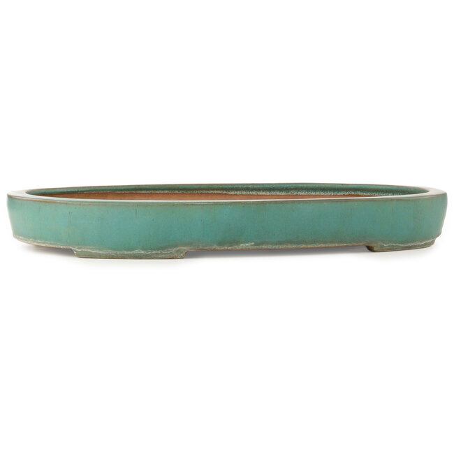 Oval turquoise bonsai pot by Reiho - 588 x 423 x 68 mm