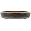 Pot à bonsaï ovale bleu foncé de Reiho - 575 x 412 x 67 mm