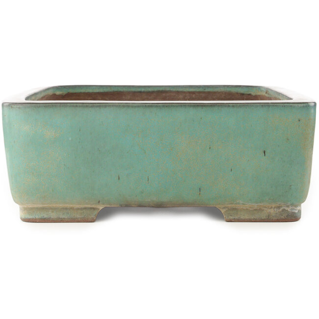 Vaso bonsai rettangolare turchese di Kakuzan - 535 x 403 x 145 mm