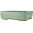 Rectangular turquoise bonsai pot by Kakuzan - 535 x 403 x 145 mm