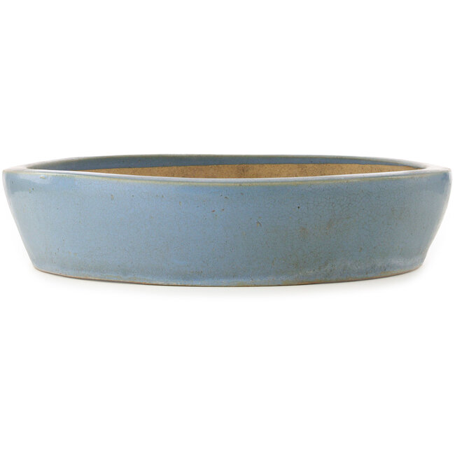 Oval blue bonsai pot - 600 x 485 x 105 mm