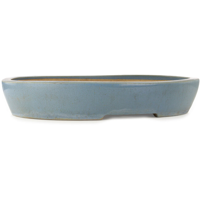 Pot à bonsaï ovale bleu - 600 x 485 x 105 mm