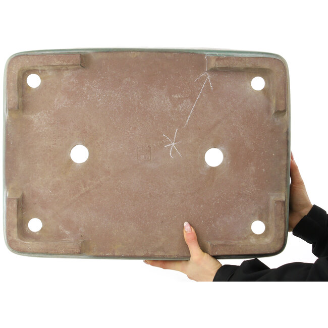 Maceta rectangular turquesa para bonsái de Kakuzan - 535 x 403 x 145 mm