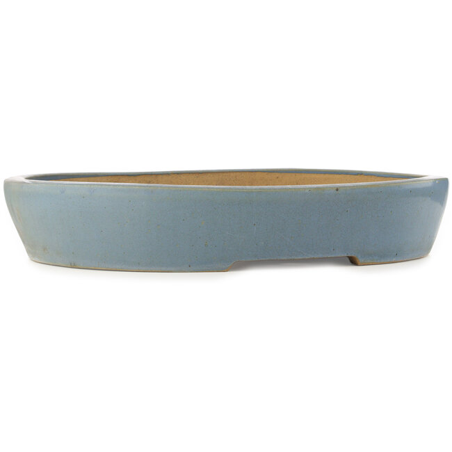 Pot à bonsaï ovale bleu - 600 x 485 x 105 mm