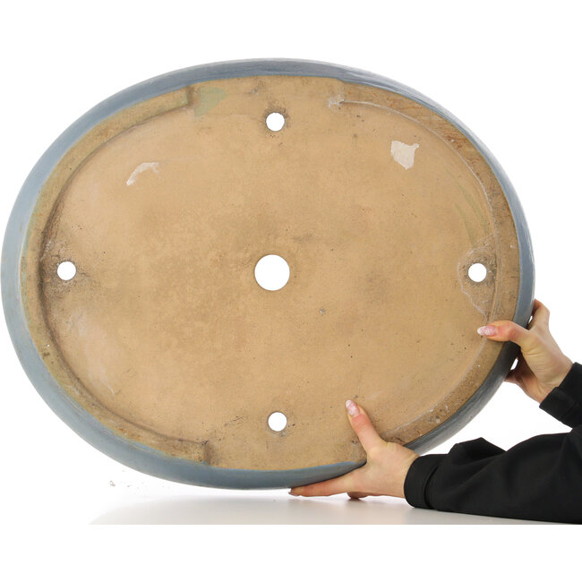 Pot à bonsaï ovale bleu - 600 x 485 x 105 mm