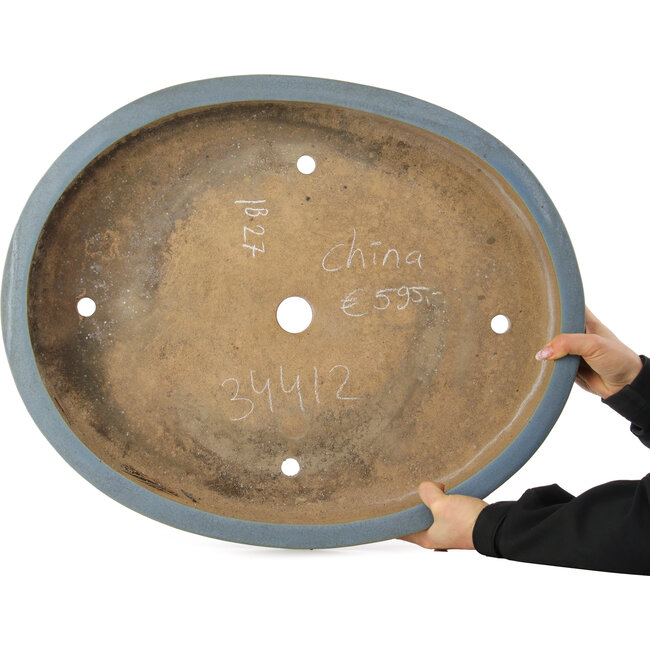 Pot à bonsaï ovale bleu - 600 x 485 x 105 mm