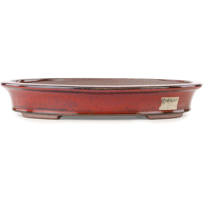 Oval red bonsai pot by Reiho - 320 x 252 x 52 mm